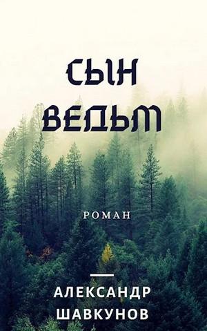 Слушать аудиокнигу: Последствия. Сын Ведьм / Александр Шавкунов (7)